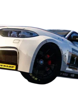 assetto-corsa character