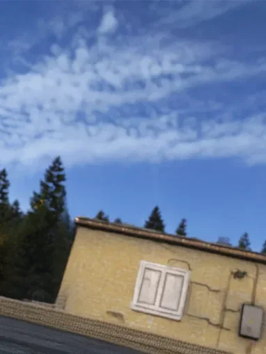 dayz background