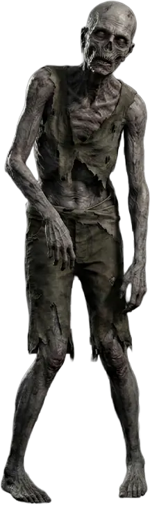 Lone Survivor